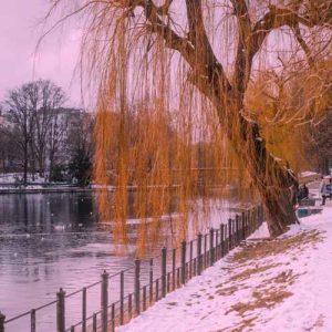دانلود آهنگ دل بریدم از این جماعت به کنج خلوت نشسته ام